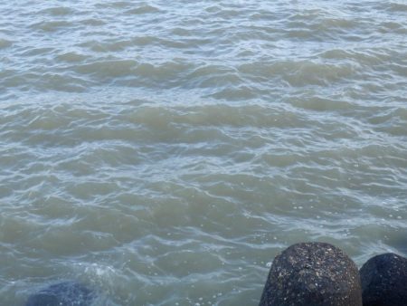 やっと釣れた‼前は⁇A long time ago‼